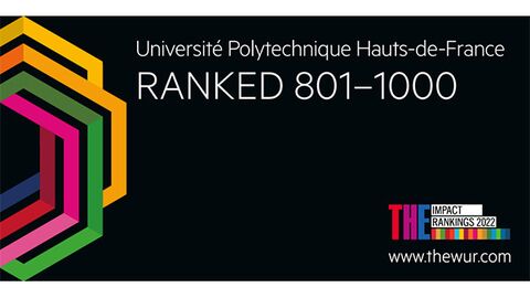 THE University Impact Ranking logo