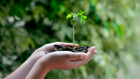 développement_durable